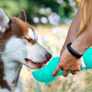 Garrafa Multifuncional para Cachorros
