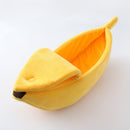 Funny Banana Cat