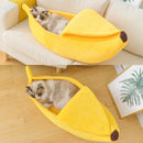 Funny Banana Cat