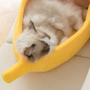 Funny Banana Cat
