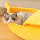 Funny Banana Cat